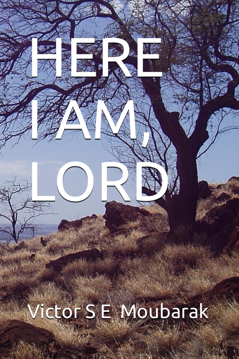 Description: Description: Description: D:\Documents\Move\Visions 21IV18\HereIAmLord.JPG